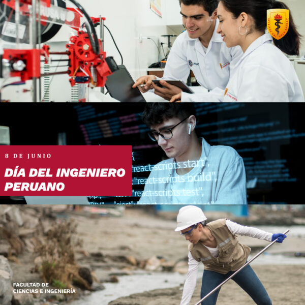 INGENIERÍA UPCH