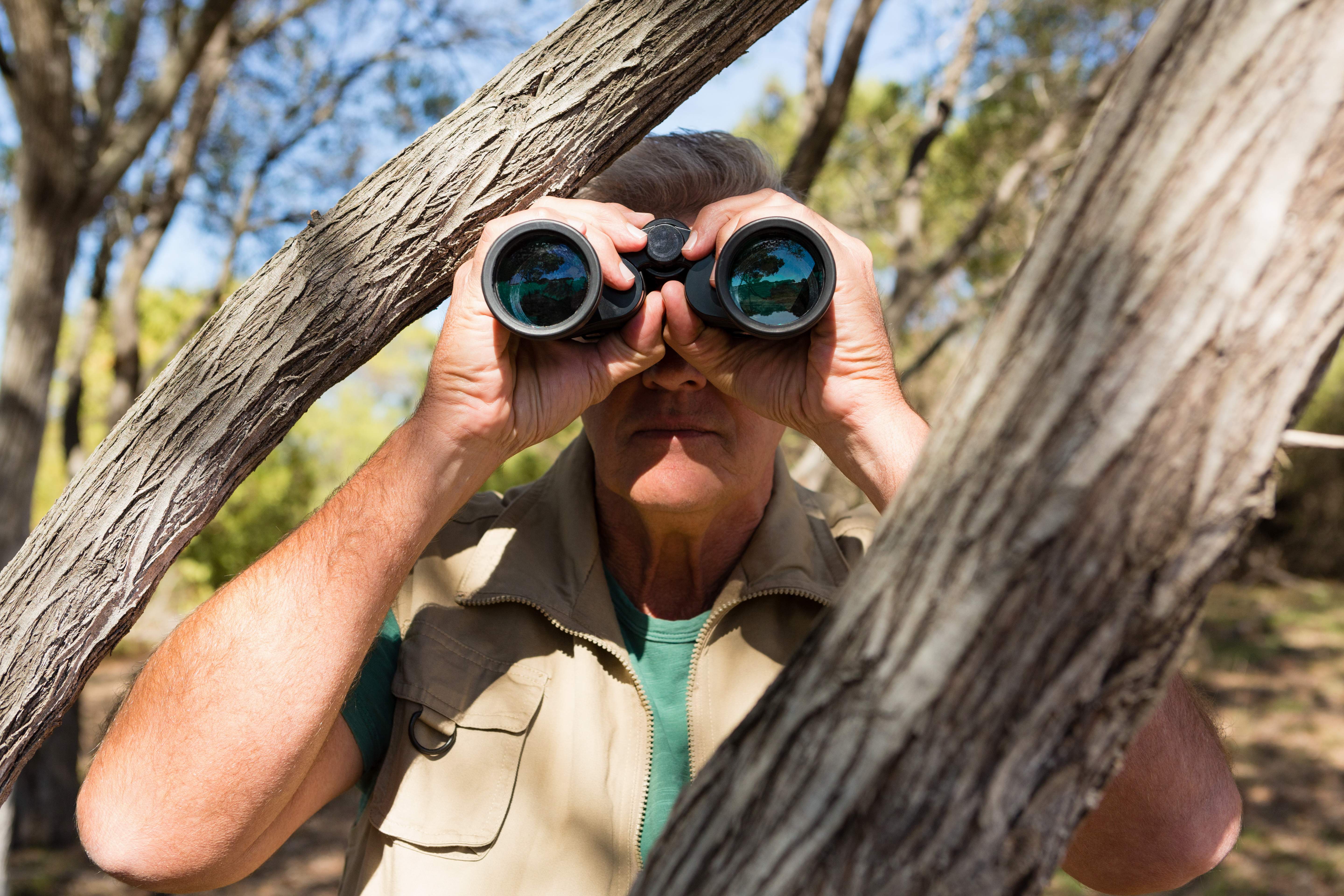 hombre-arbol-mirando-traves-binoculares-compressed