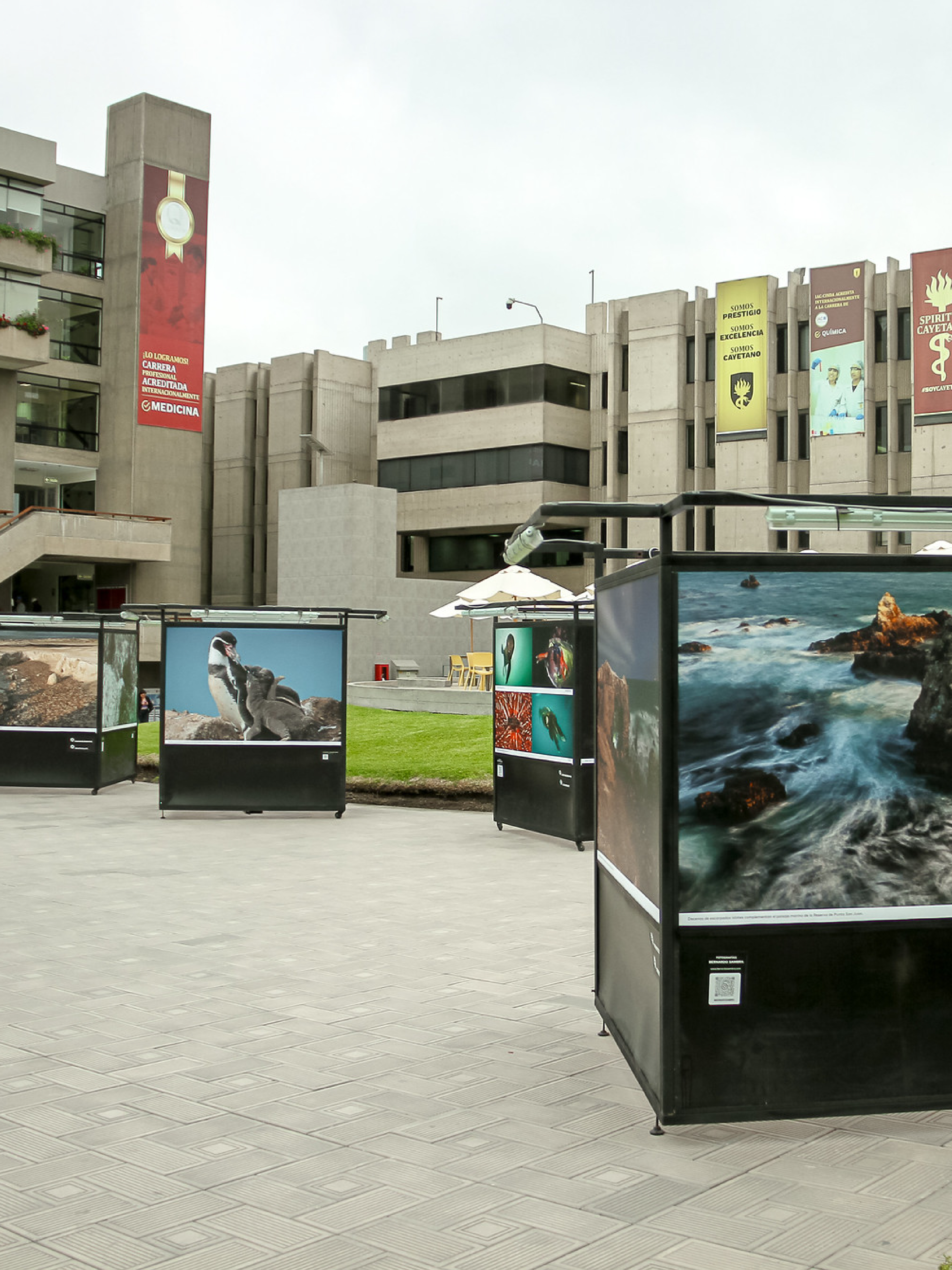 PUNTA SAN JUAN UPCH CELULAR-02