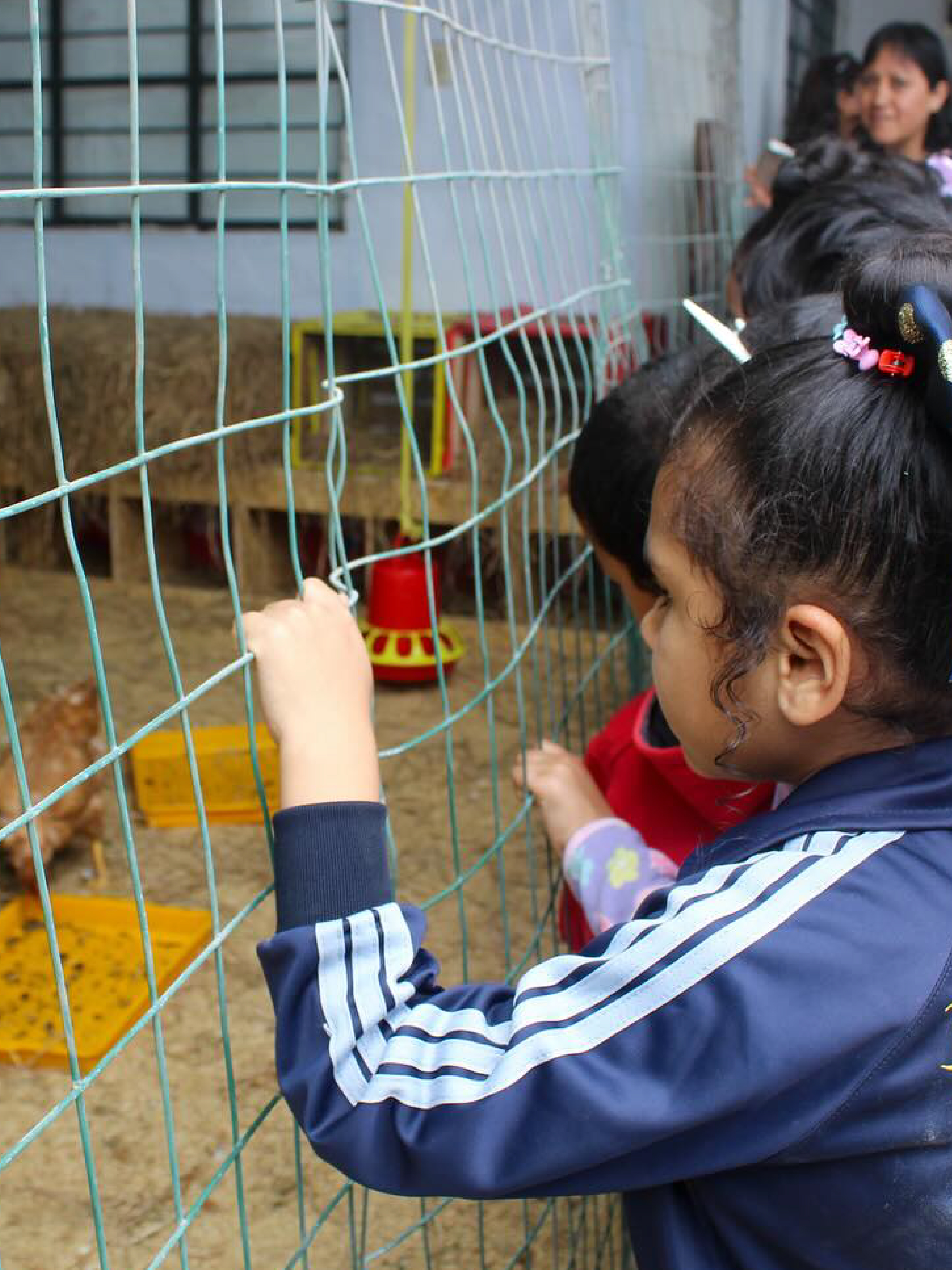 maria marull nutri-02