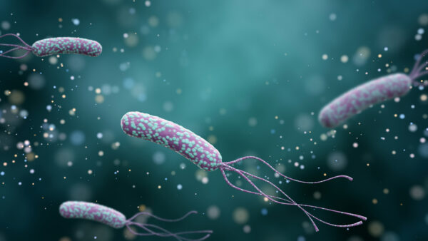 Illustration of Helicobacter pylori bacteria on an abstract color background. Medical concept.